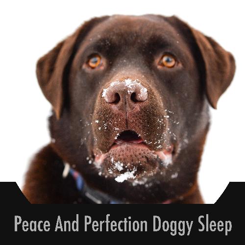 Carefree Puppy Soothing Stress Buster cover art