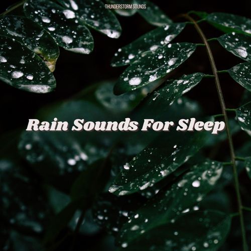Baby Sleep Rain cover art