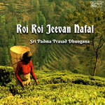 Roi Roi Jeevan Nafal