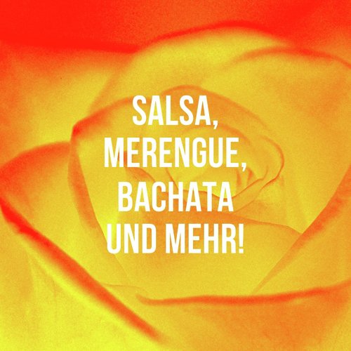 Salsa, Merengue, Bachata Und Mehr!