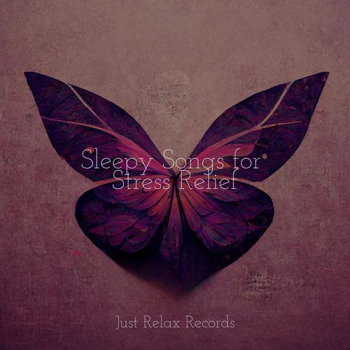 Sleepy Songs for Stress Relief_poster_image