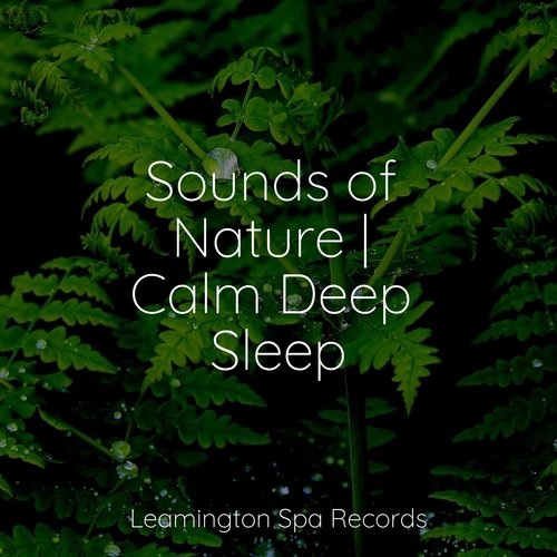 Meditating Music cover art