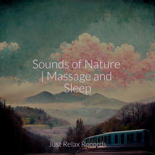 Sounds of Nature | Massage and Sleep