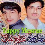 Tappy Mesrae