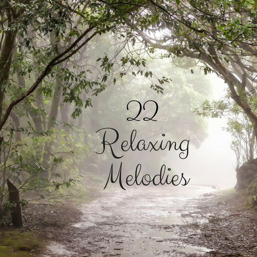 22 Relaxing Melodies