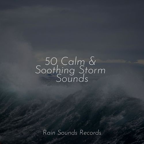 50 Calm & Soothing Storm Sounds_poster_image