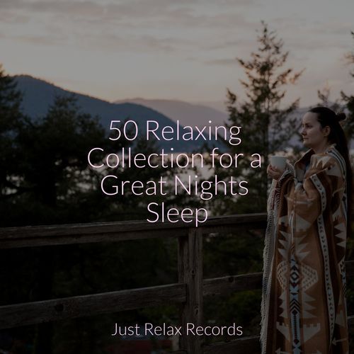 50 Relaxing Collection for a Great Nights Sleep