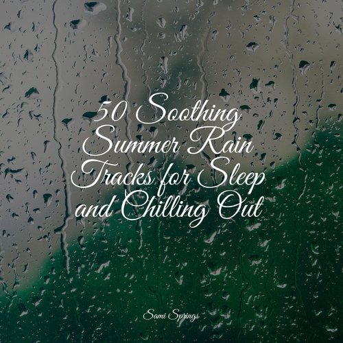 50 Soothing Summer Rain Tracks for Sleep and Chilling Out_poster_image