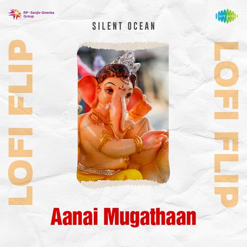 Aanai Mugathaan Lofi Flip