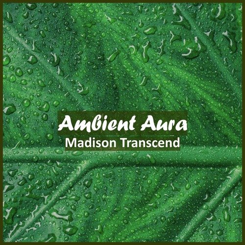 Ambient Aura cover art