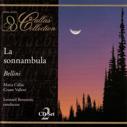 La sonnambula: Act I, "Davver, non mi dispiace" (Rodolfo, Lisa)