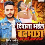 Diwana Bhail Badmash