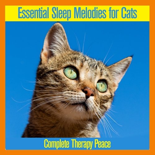 Essential Sleep Melodies for Cats: Complete Therapy Peace