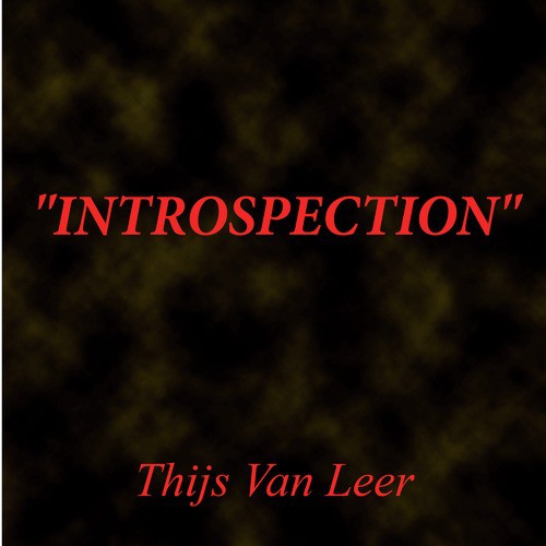 Introspection