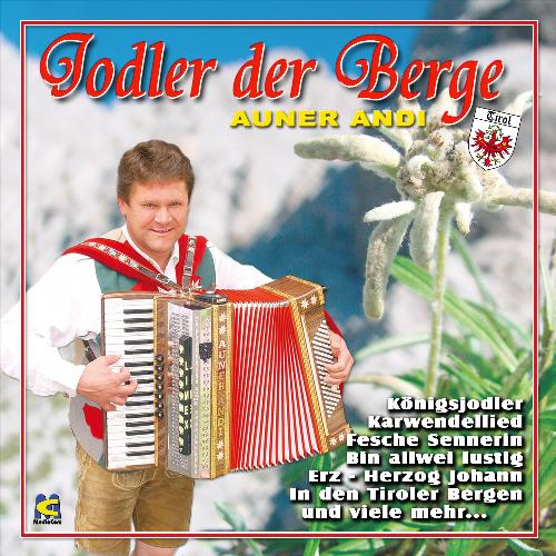 Straubinger Käse Polka cover art