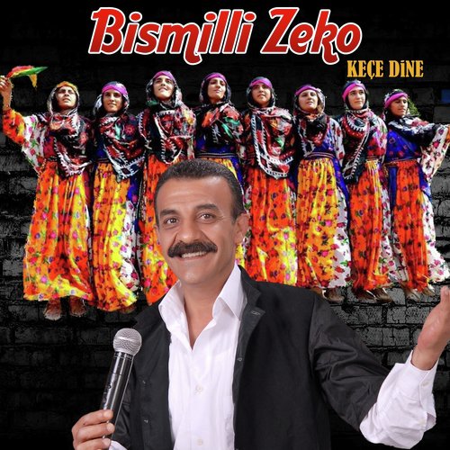 Ev Zaveye cover art