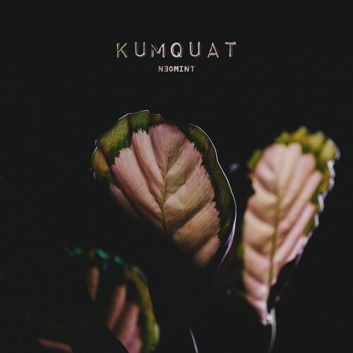 Kumquat cover art