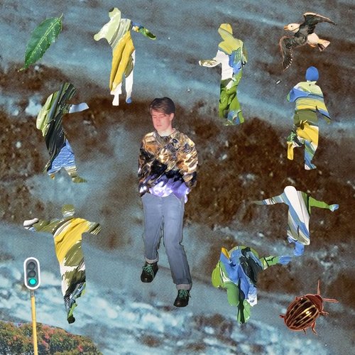 Fiona cover art