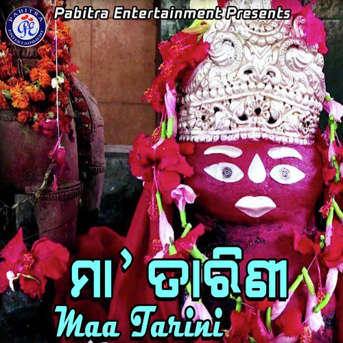 Maa Tarini_poster_image