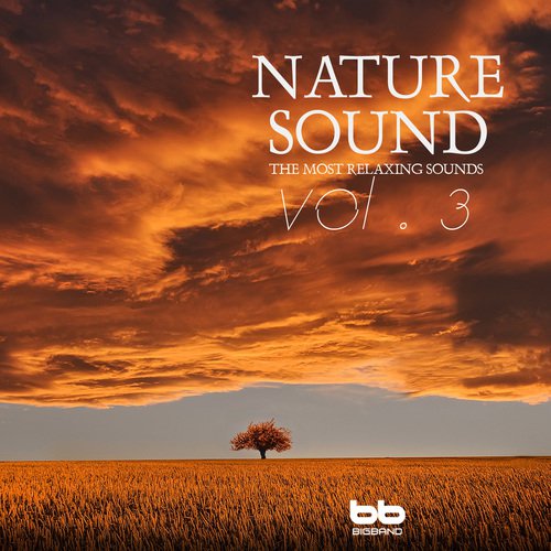 Nature Sound, Vol. 3