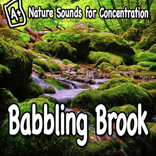 Nature Sounds for Concentration – Babbling Brook_poster_image