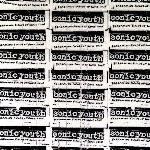 Teen Age Riot (Album Version)
