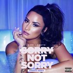 Sorry Not Sorry (Freedo Remix)