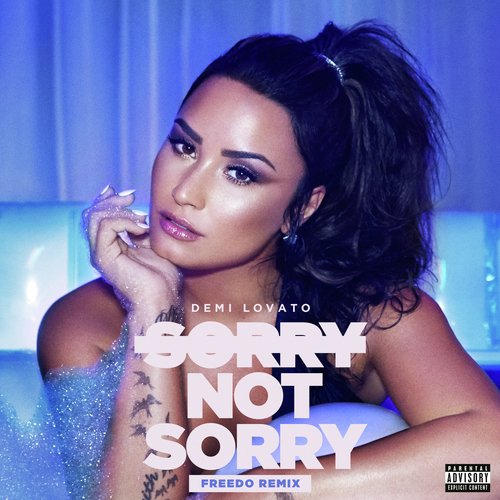 Sorry Not Sorry (Freedo Remix)_poster_image