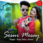 Sosur Mosay