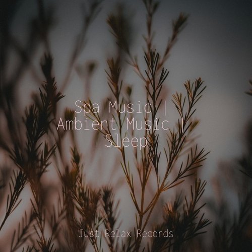 Spa Music | Ambient Music | Sleep