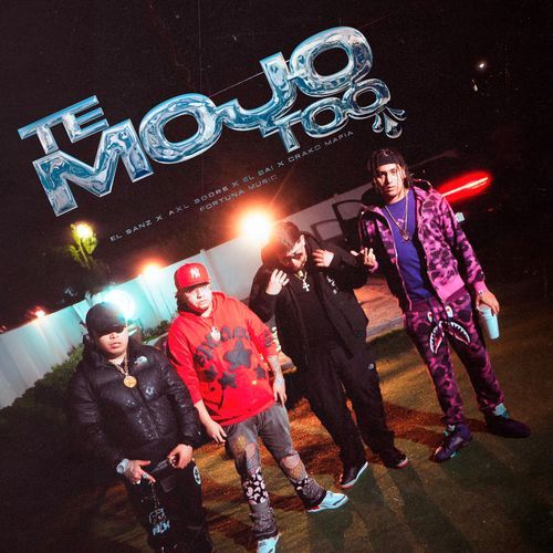 Te Mojo Too_poster_image