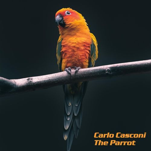 The Parrot cover art