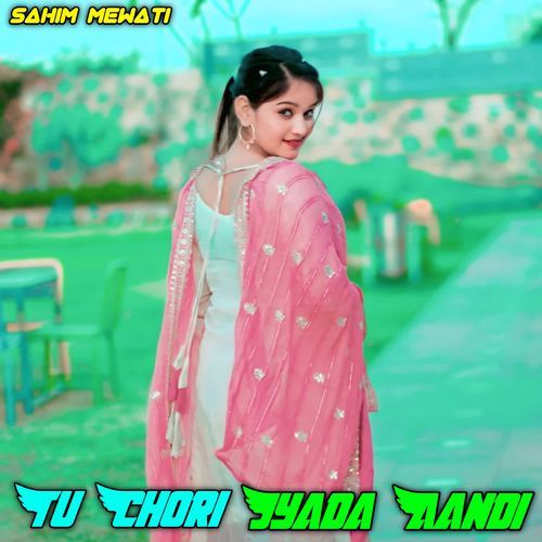 Tu Chori Jyada Aandi