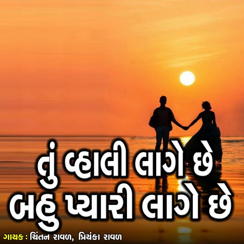 Tu Vahali Lage Chhe Bahu Pyari Lage Chhe