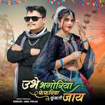 Ubhe Bhagoriya Fefriya Fukati Jay