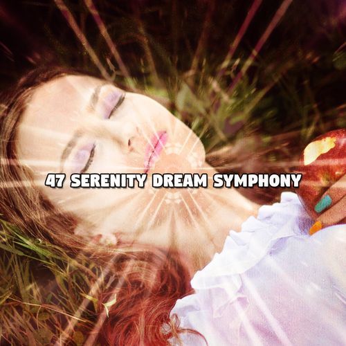 47 Serenity Dream Symphony_poster_image