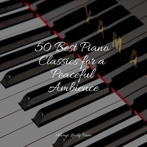 50 Best Piano Classics for a Peaceful Ambience_poster_image