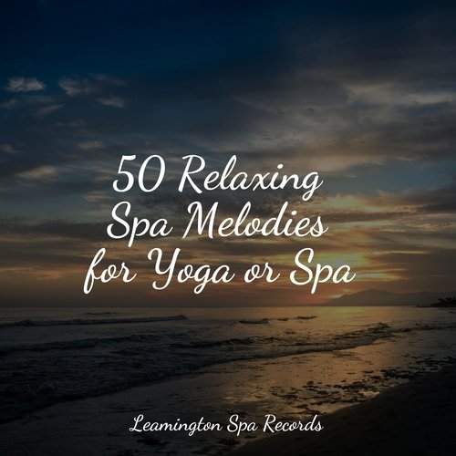 50 Relaxing Spa Melodies for Yoga or Spa