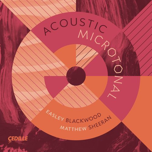 Acoustic Microtonal
