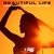 Beautiful Life (Extended Mix)