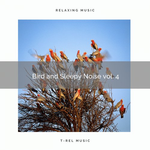 In the Sea of Noise with Nature Sounds pt. 2 cover art