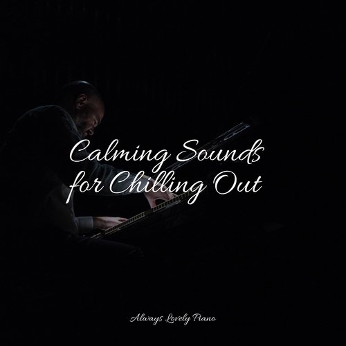 Calming Sounds for Chilling Out