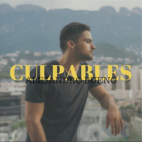 Culpables_poster_image