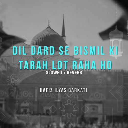 Dil Dard Se Bismil Ki Tarha Lot Raha Ho (Lofi-Mix)