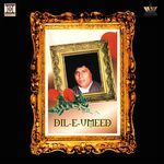 Dil -E- Umeed Toda Hai Kisi Ne