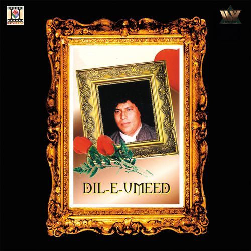 Dil -E- Umeed Toda Hai Kisi Ne