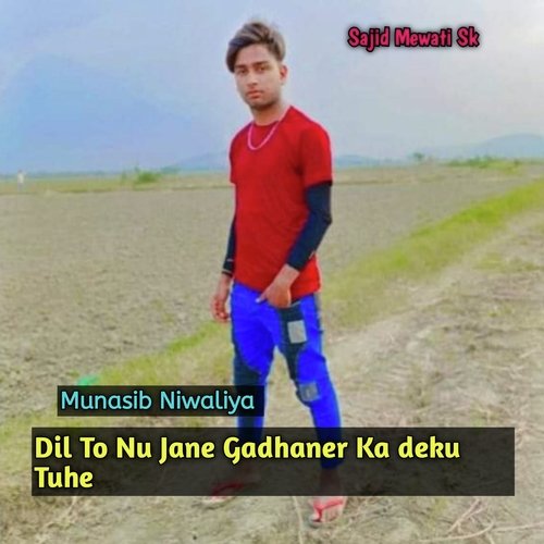 Dil To Nu Jane Gadhaner Ka Deku Tuhe