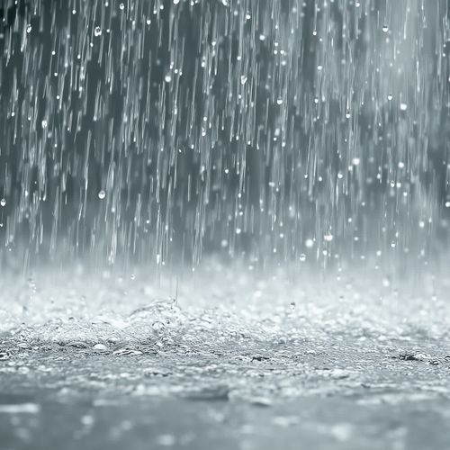 Estrella del Firmamento (Rain)