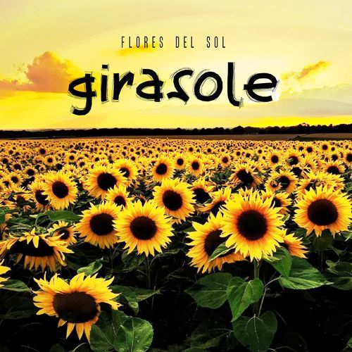 Girasole