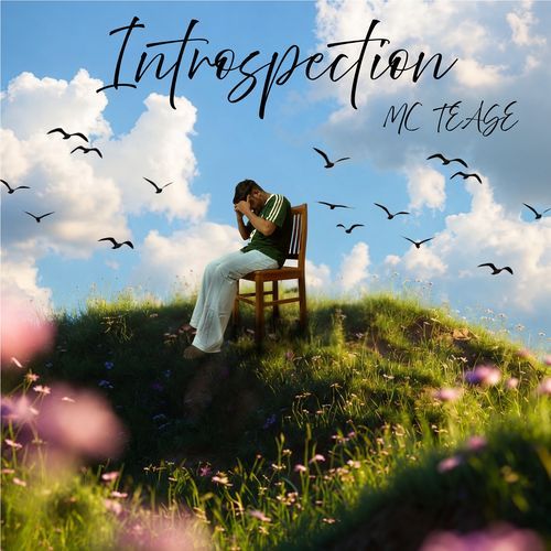 Introspection